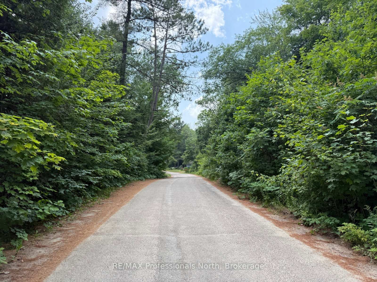 0 Halls Lake Road • Algonquin Highlands, ON photo 22