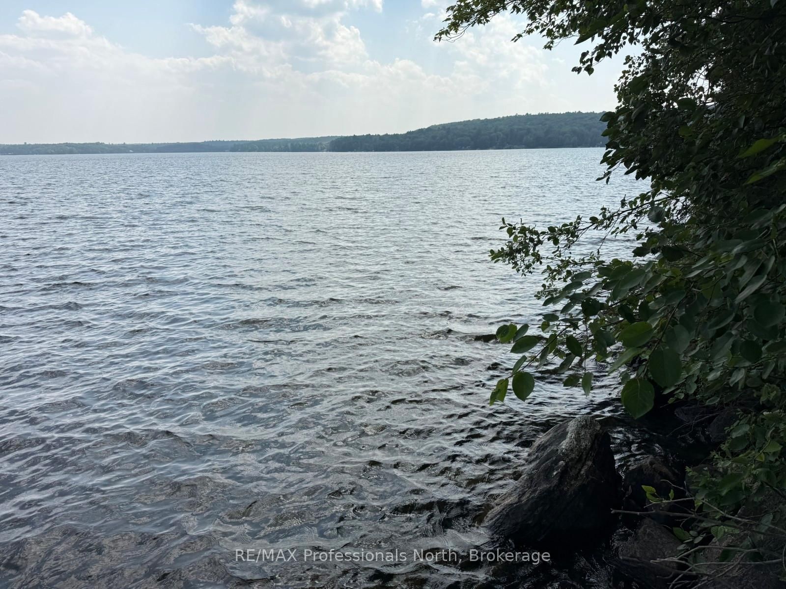 0 Halls Lake Road • Algonquin Highlands, ON photo 23