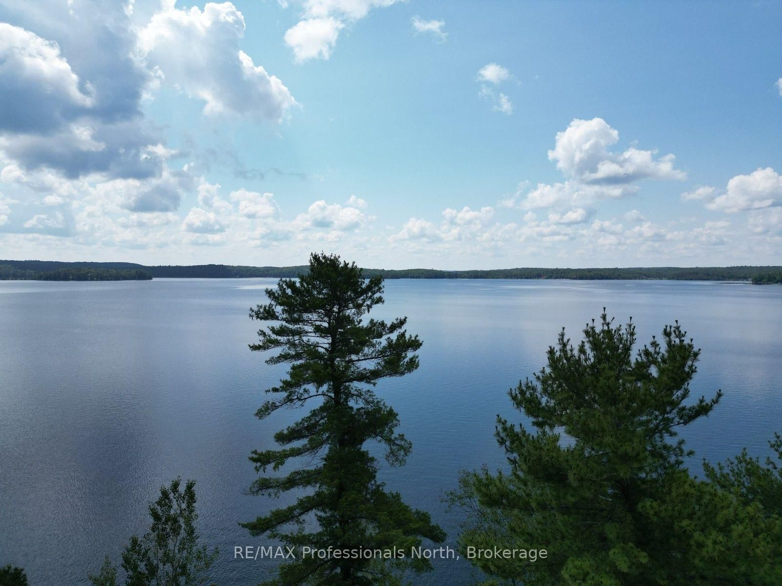 0 Halls Lake Road • Algonquin Highlands, ON photo 24