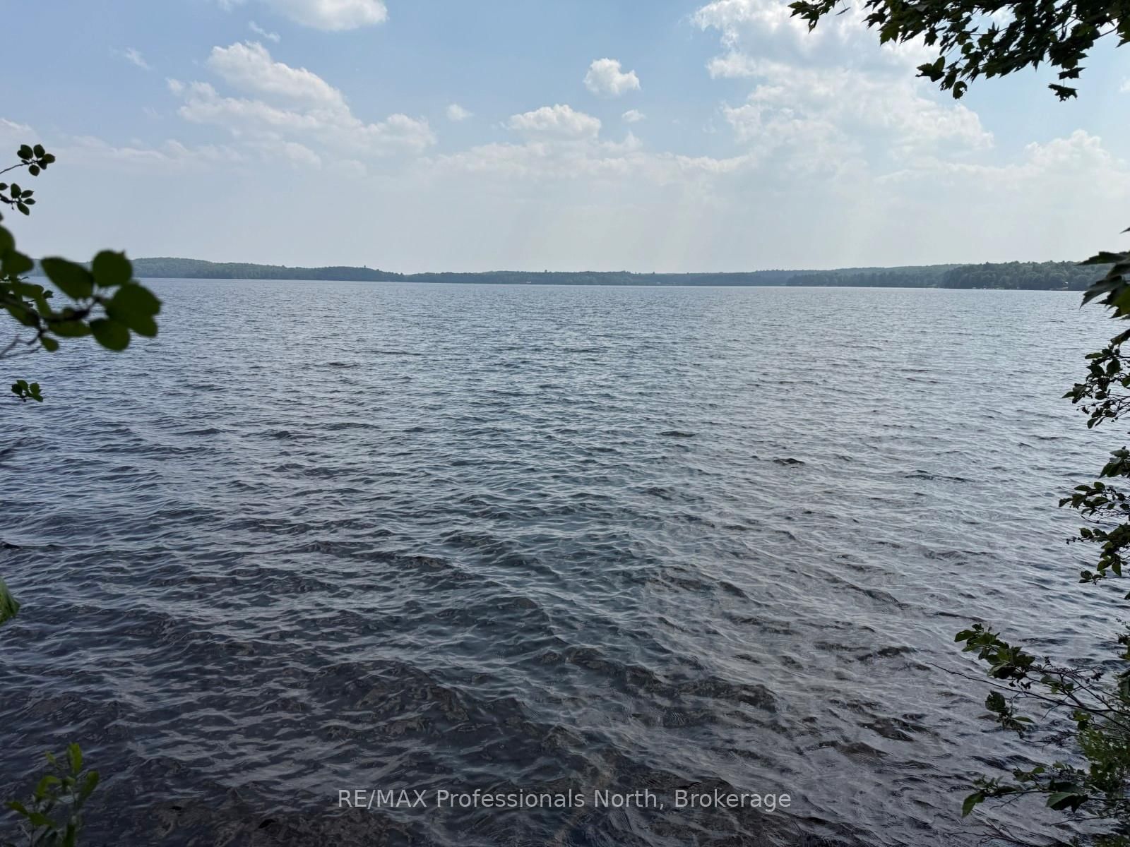 0 Halls Lake Road • Algonquin Highlands, ON photo 25