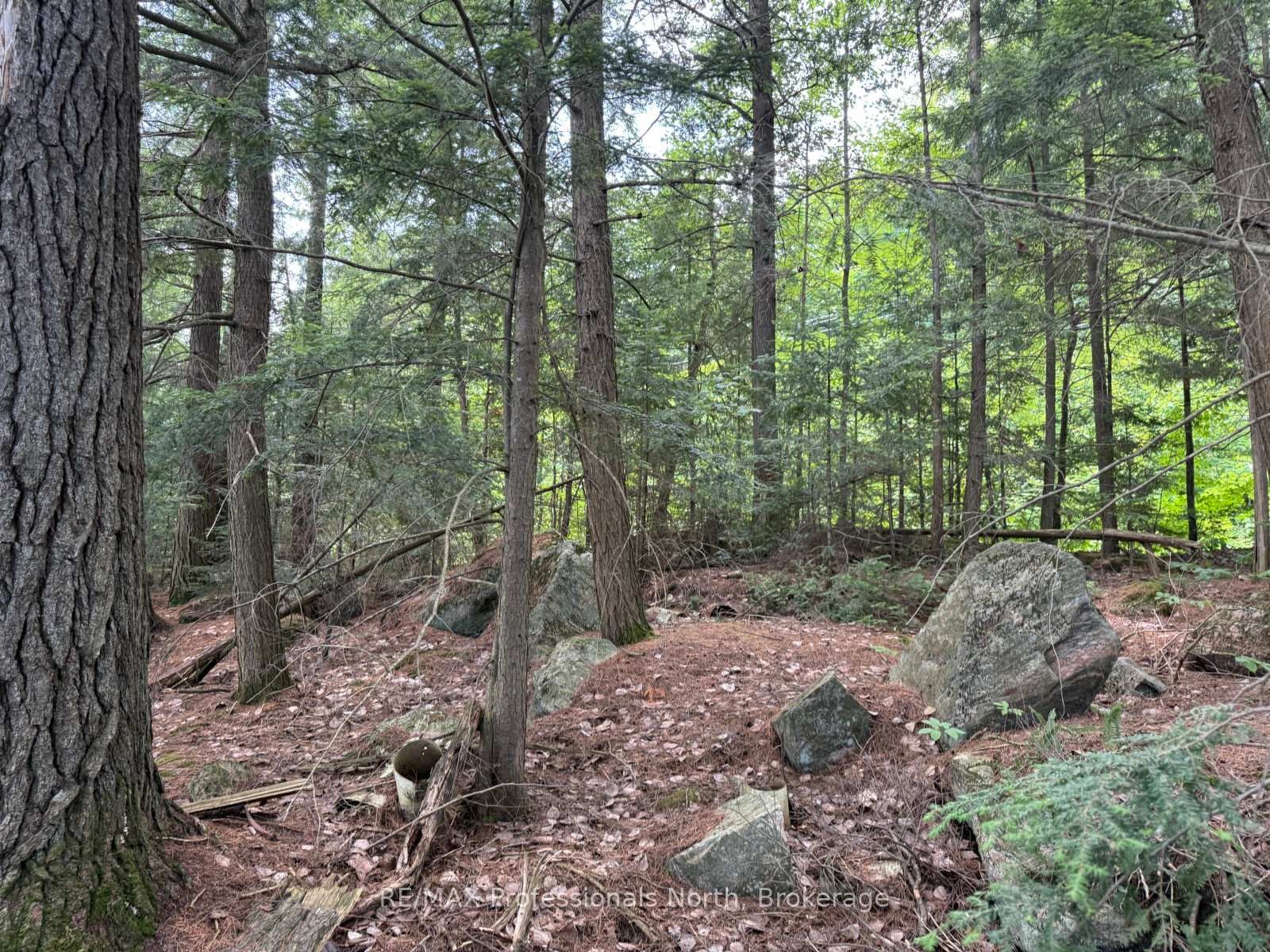 0 Halls Lake Road • Algonquin Highlands, ON photo 26