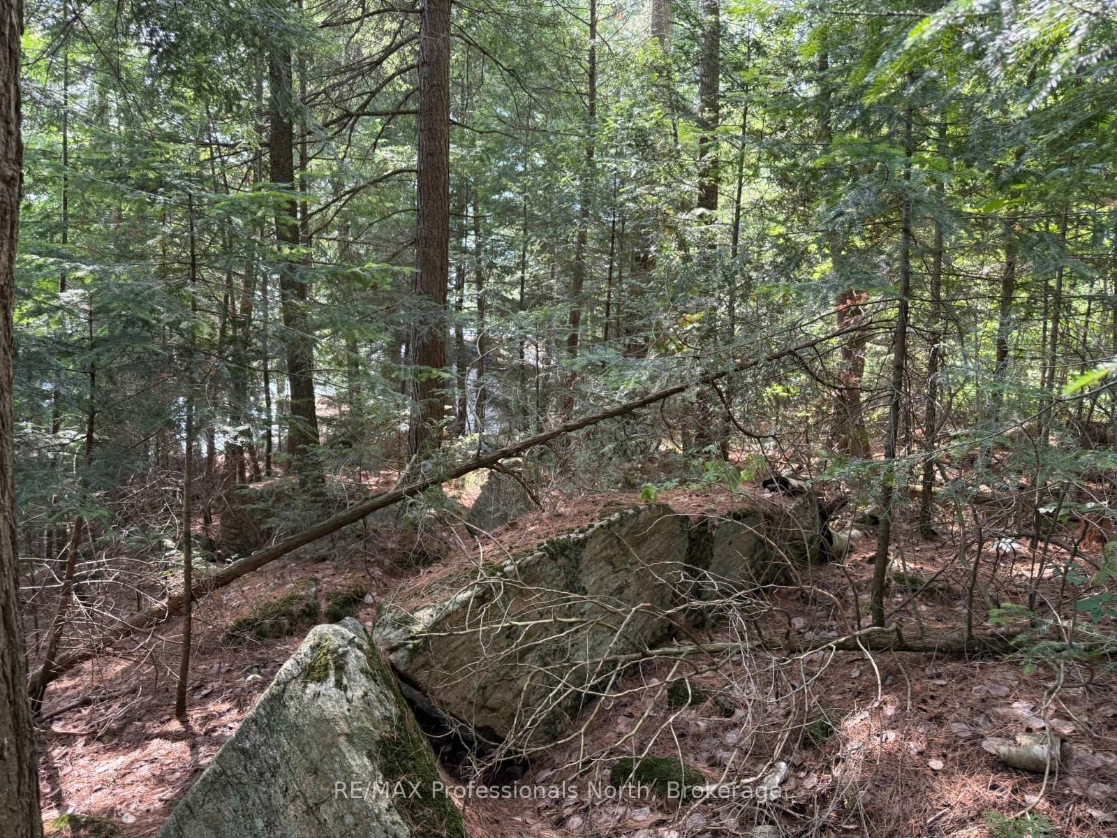 0 Halls Lake Road • Algonquin Highlands, ON photo 28