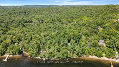 0 Halls Lake Road • Algonquin Highlands, ON photo 5