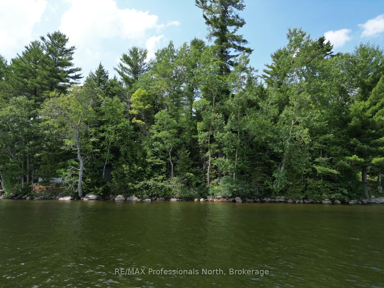 0 Halls Lake Road • Algonquin Highlands, ON photo 8