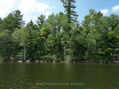 0 Halls Lake Road • Algonquin Highlands, ON photo 8
