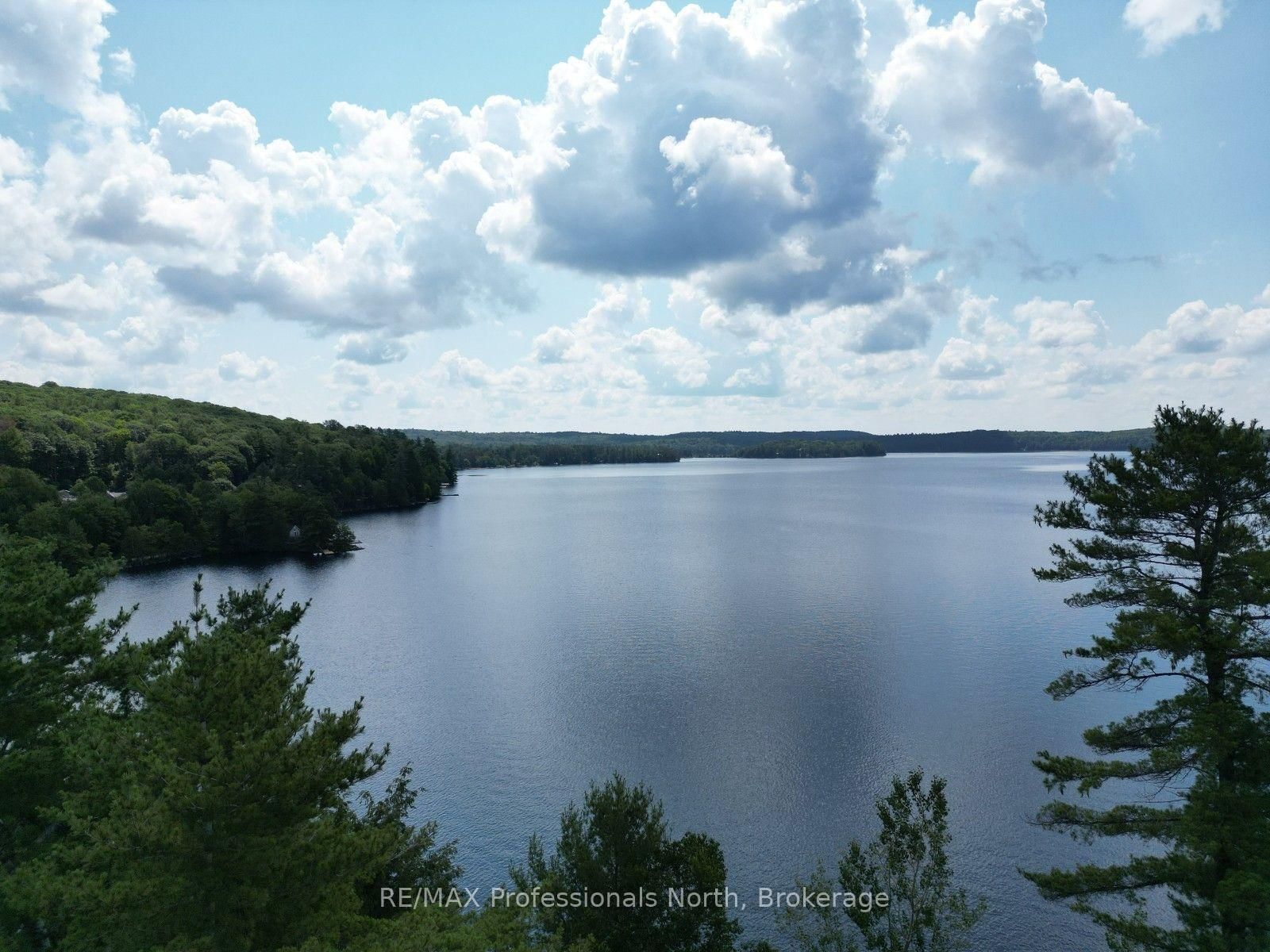 0 Halls Lake Road • Algonquin Highlands, ON photo 9
