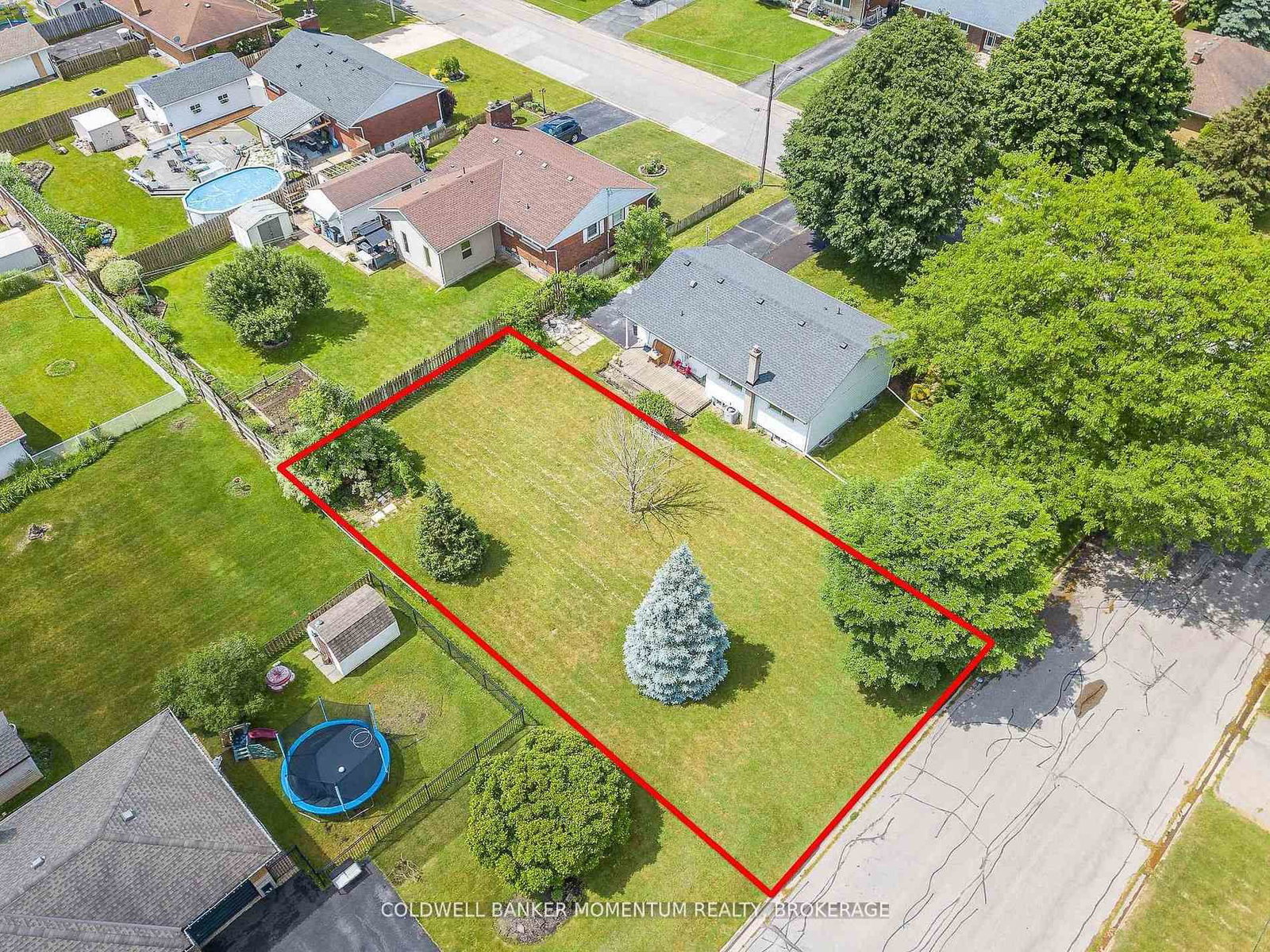 23 & 29 Dexter Drive - Photo 2