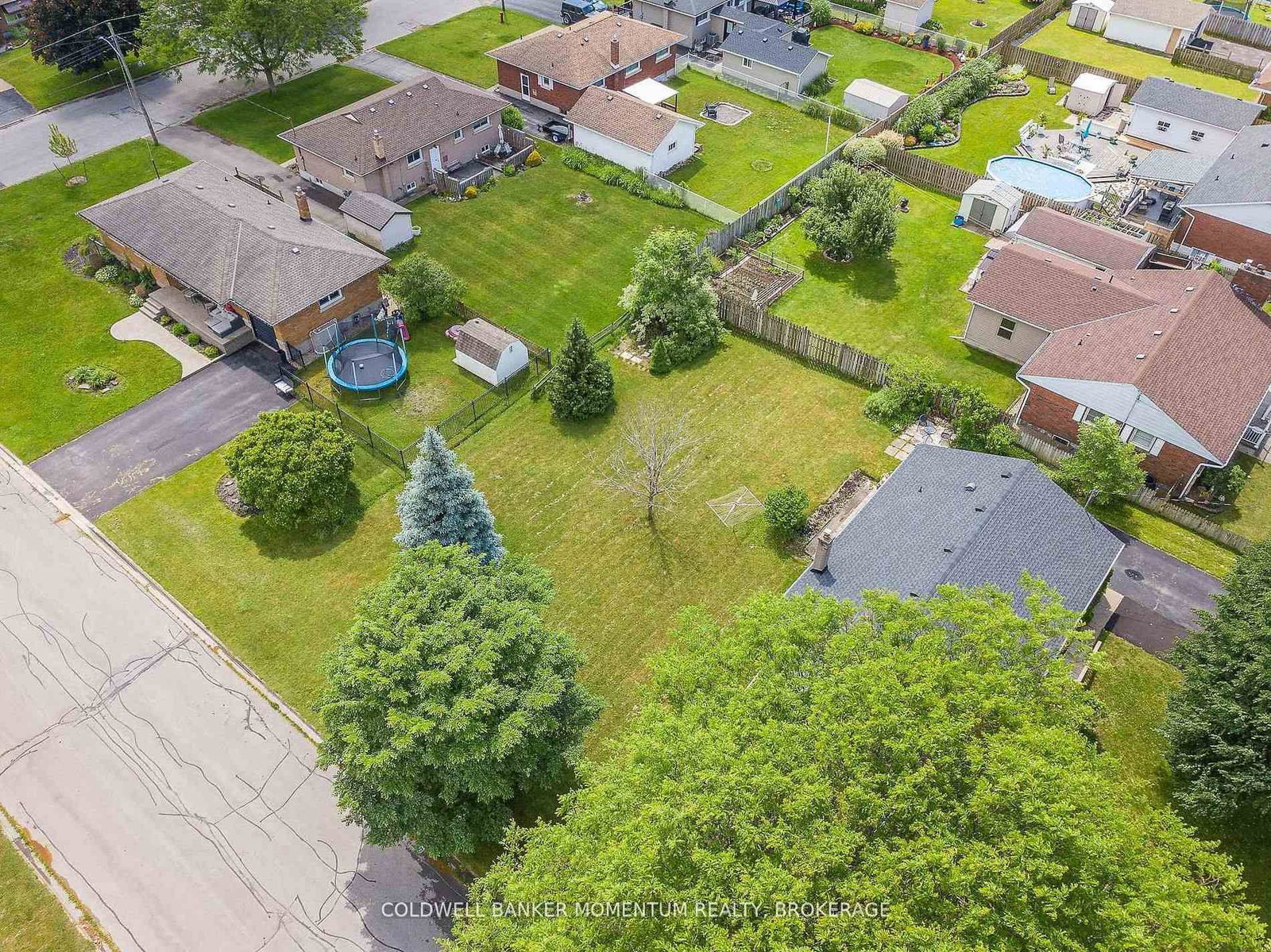 23 & 29 Dexter Drive - Photo 3