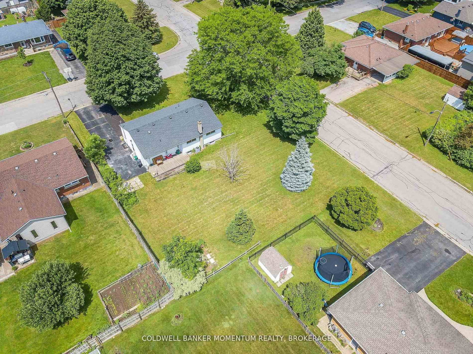 23 & 29 Dexter Drive - Photo 4