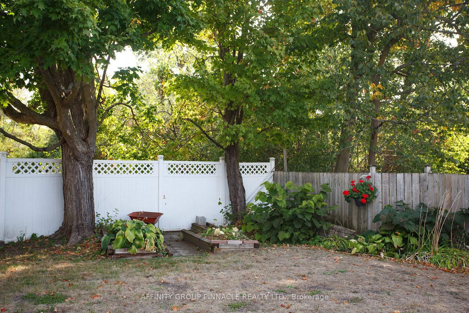 74 William Street • Kawartha Lakes, ON photo 42