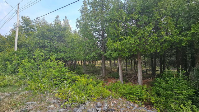 LT 254 Dorcas Bay Road