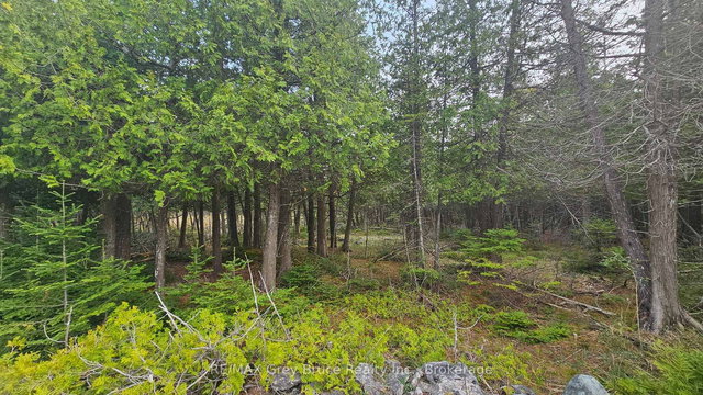 LT 254 Dorcas Bay Road