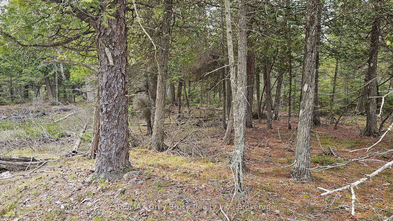 home for sale on LT 255 Pedwell Pt. Drive