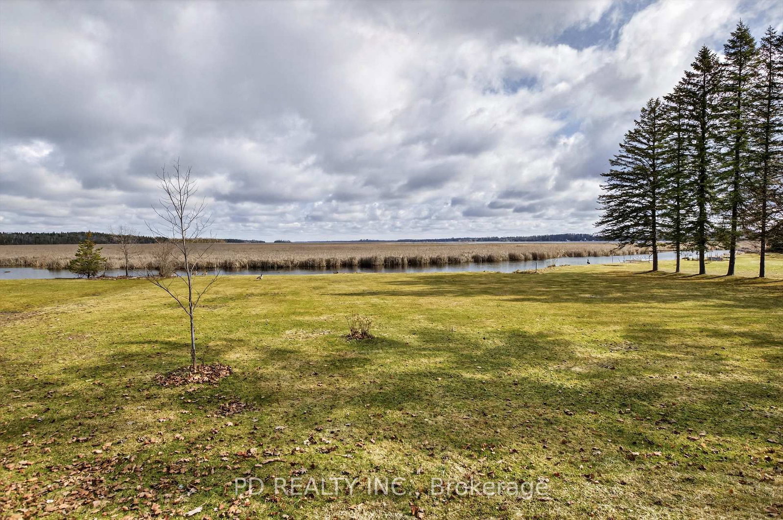 200 Charlore Park Drive • Kawartha Lakes, ON photo 45