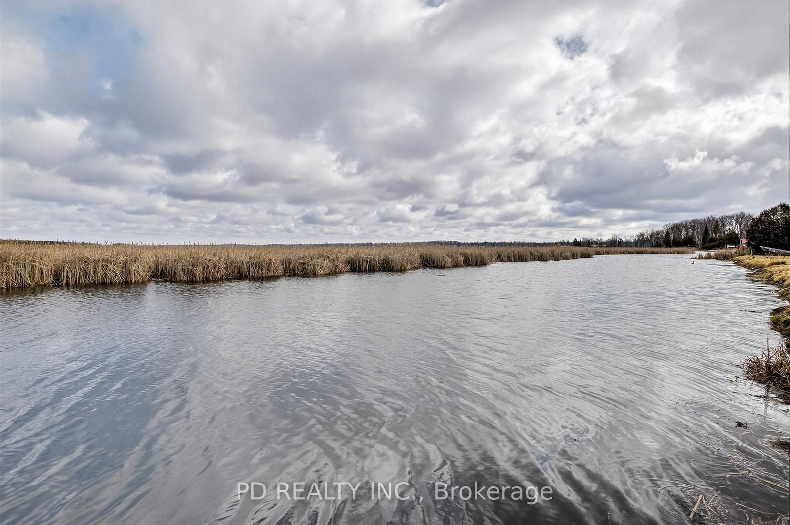 200 Charlore Park Drive • Kawartha Lakes, ON photo 49