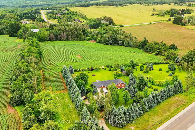 537086 Main St, Melancthon, L9V 1X6 | Image 3