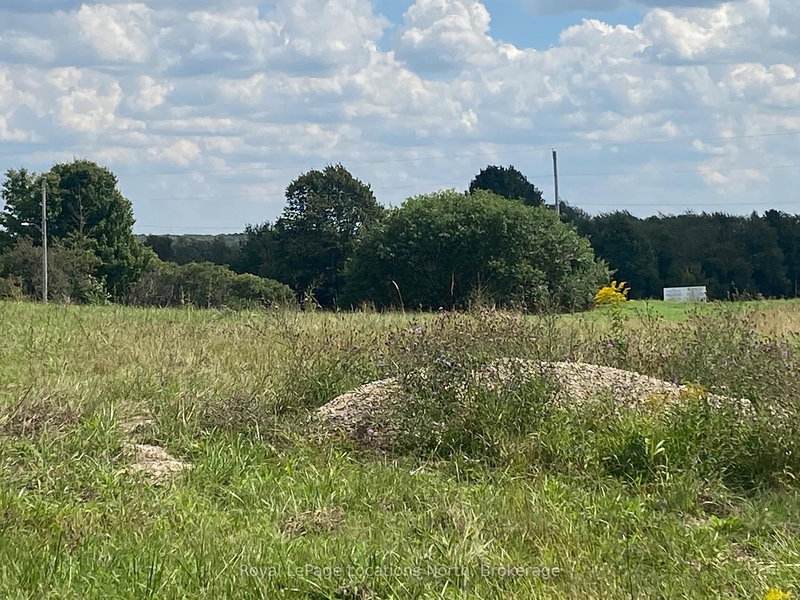 26 Park St W, Minto, N0G 1M0 | Image 3