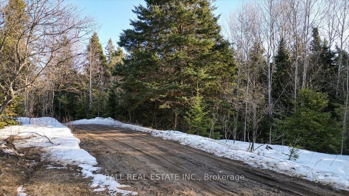 Pt Lt 9-10 Conc Egan Court • Bancroft, ON photo 4