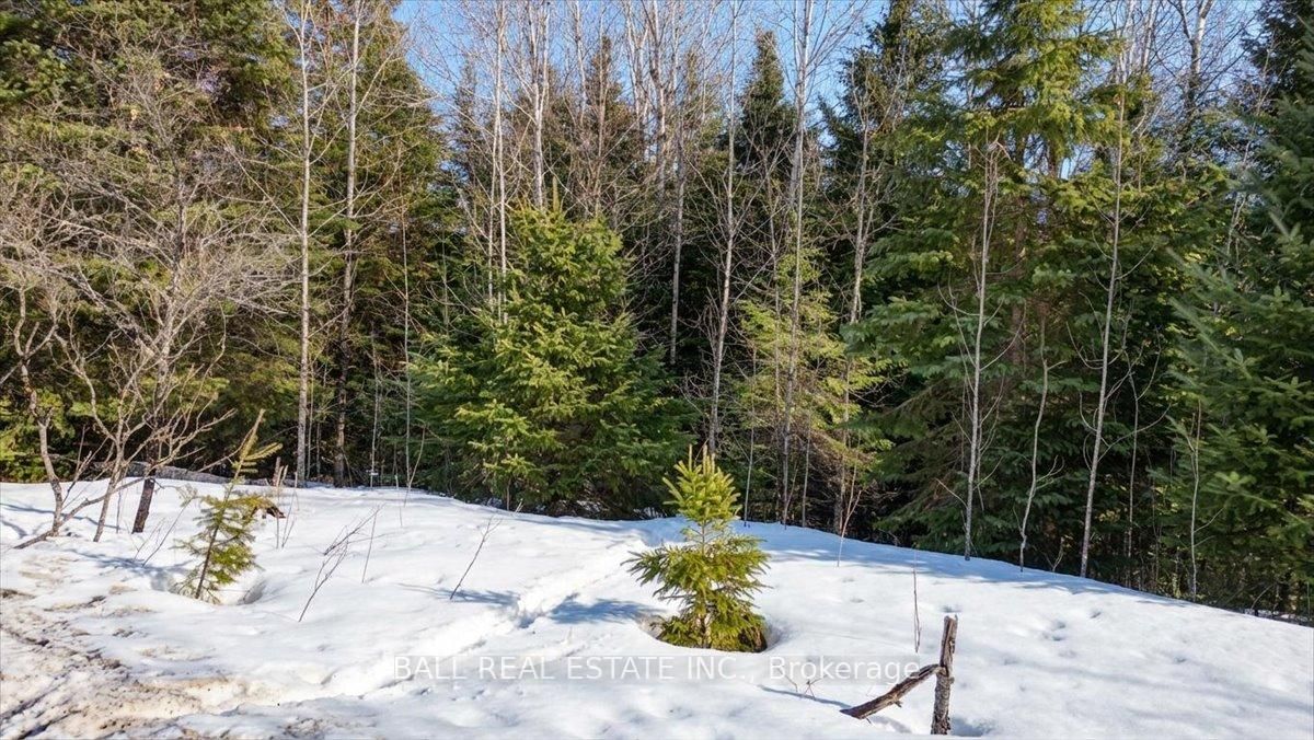Pt Lt 9-10 Conc Egan Court • Bancroft, ON photo 5