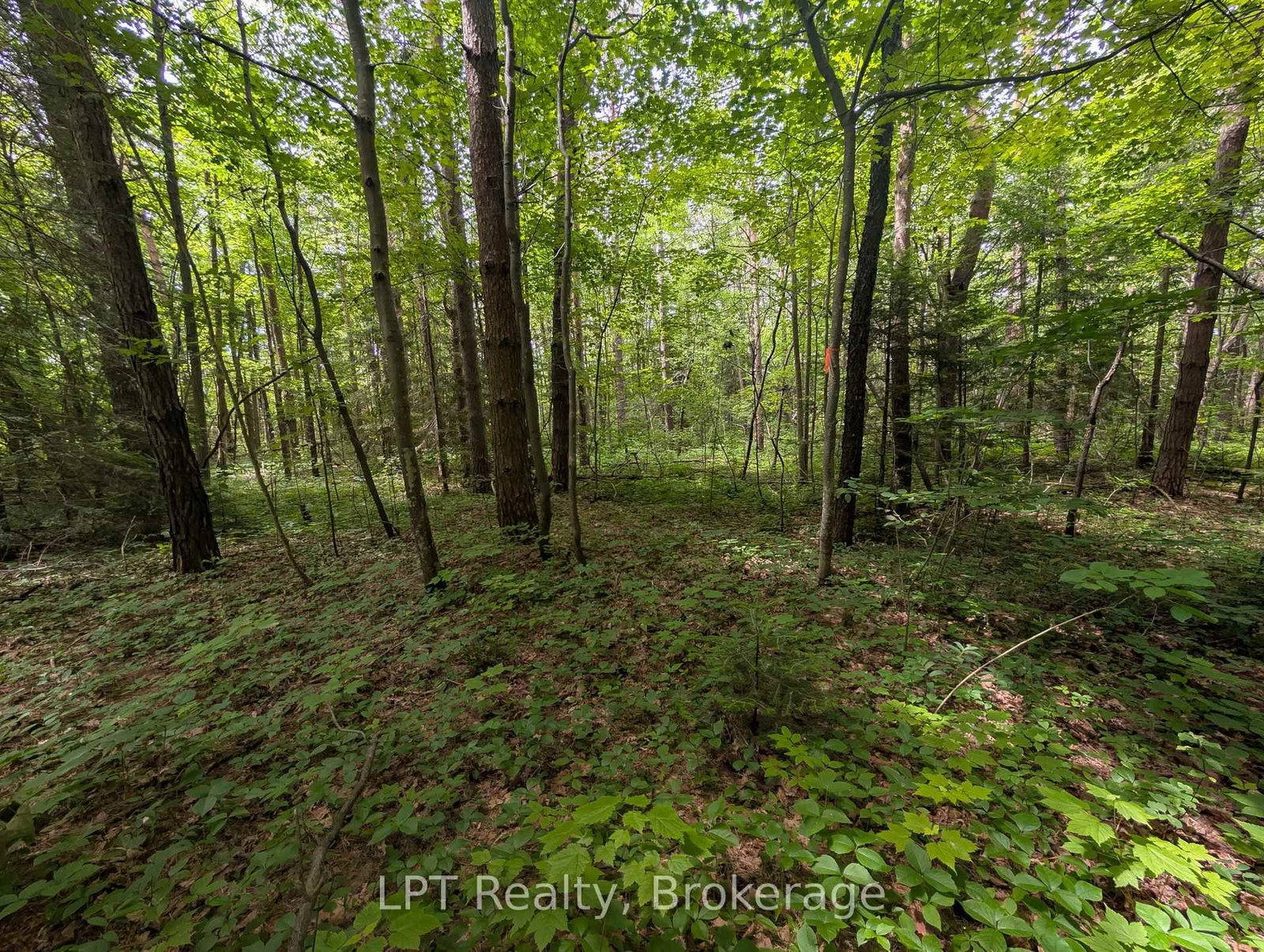 590-608 HURON Road • South Bruce Peninsula, ON photo 16