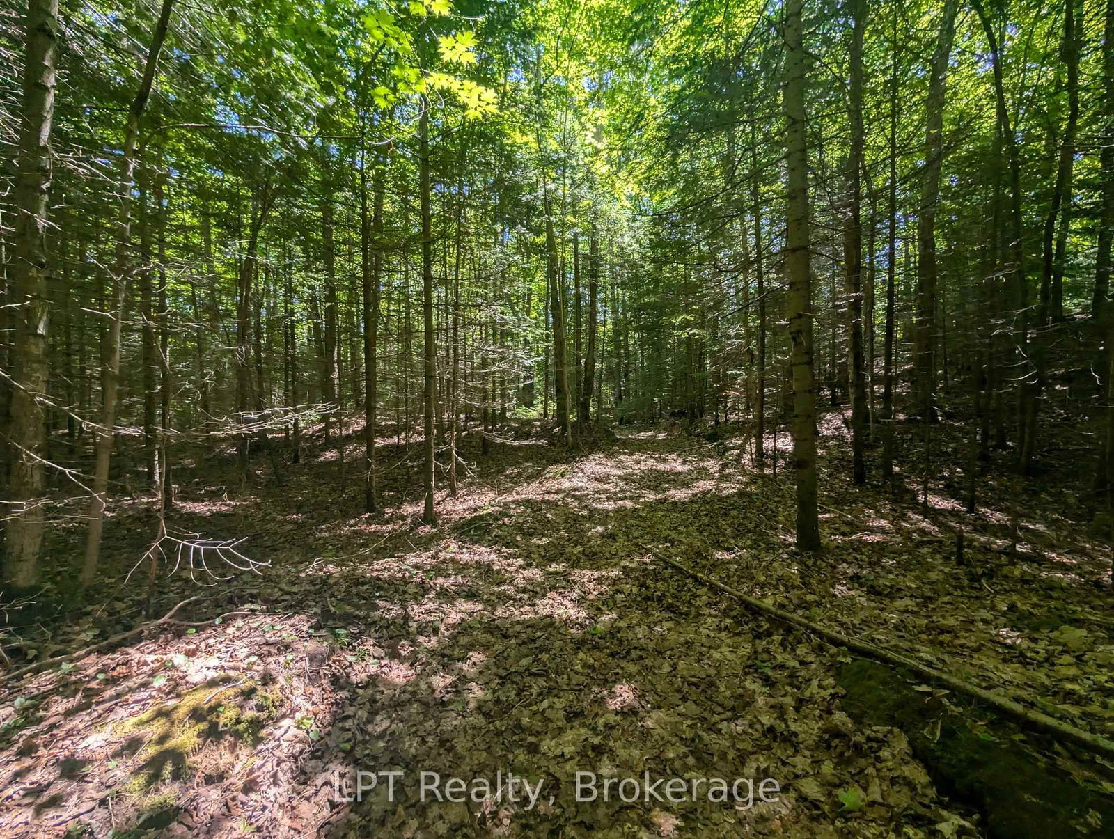 590-608 HURON Road • South Bruce Peninsula, ON photo 21