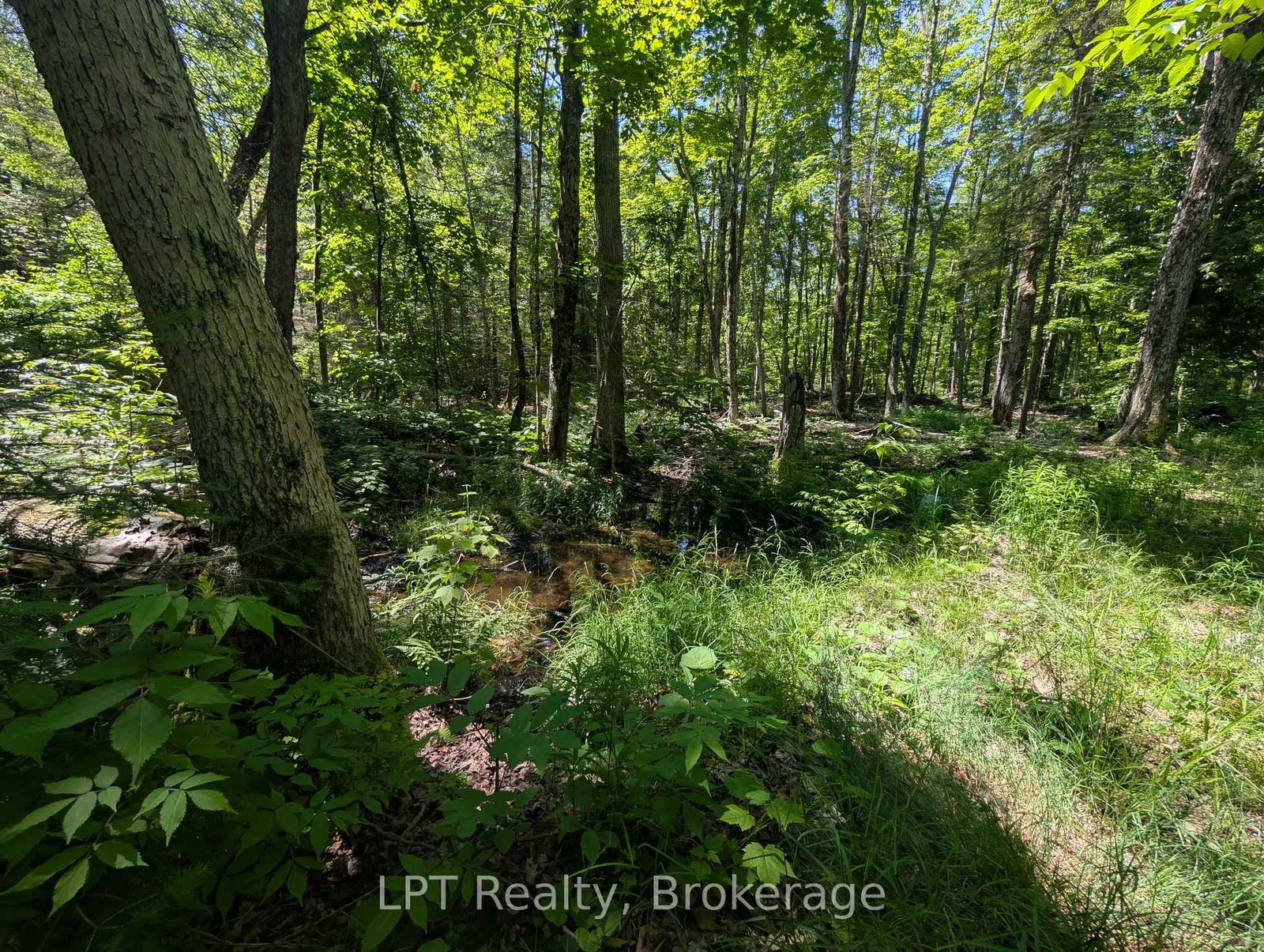 590-608 HURON Road • South Bruce Peninsula, ON photo 36