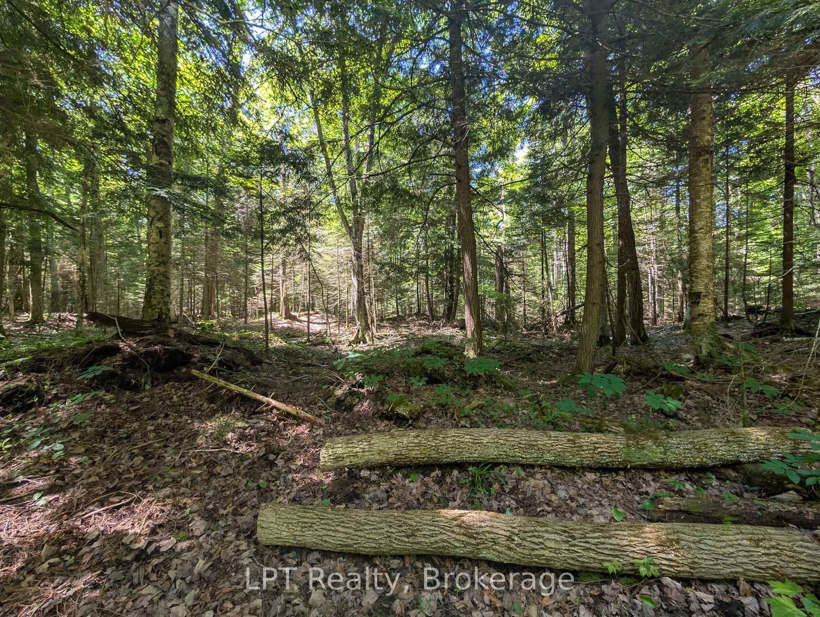 590-608 HURON Road • South Bruce Peninsula, ON photo 39