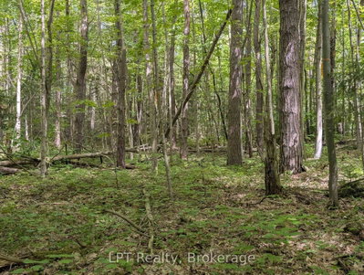 590-608 HURON Road • South Bruce Peninsula, ON photo 6