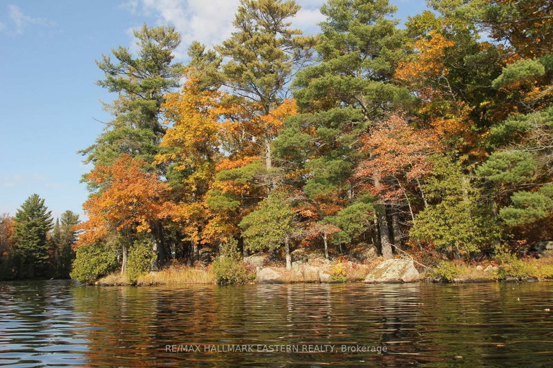 Lot 1 - C280 Lower Buckhorn Lake