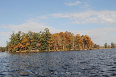 Unit Lot 1 — C280 Lower Buckhorn Lake — photo 4