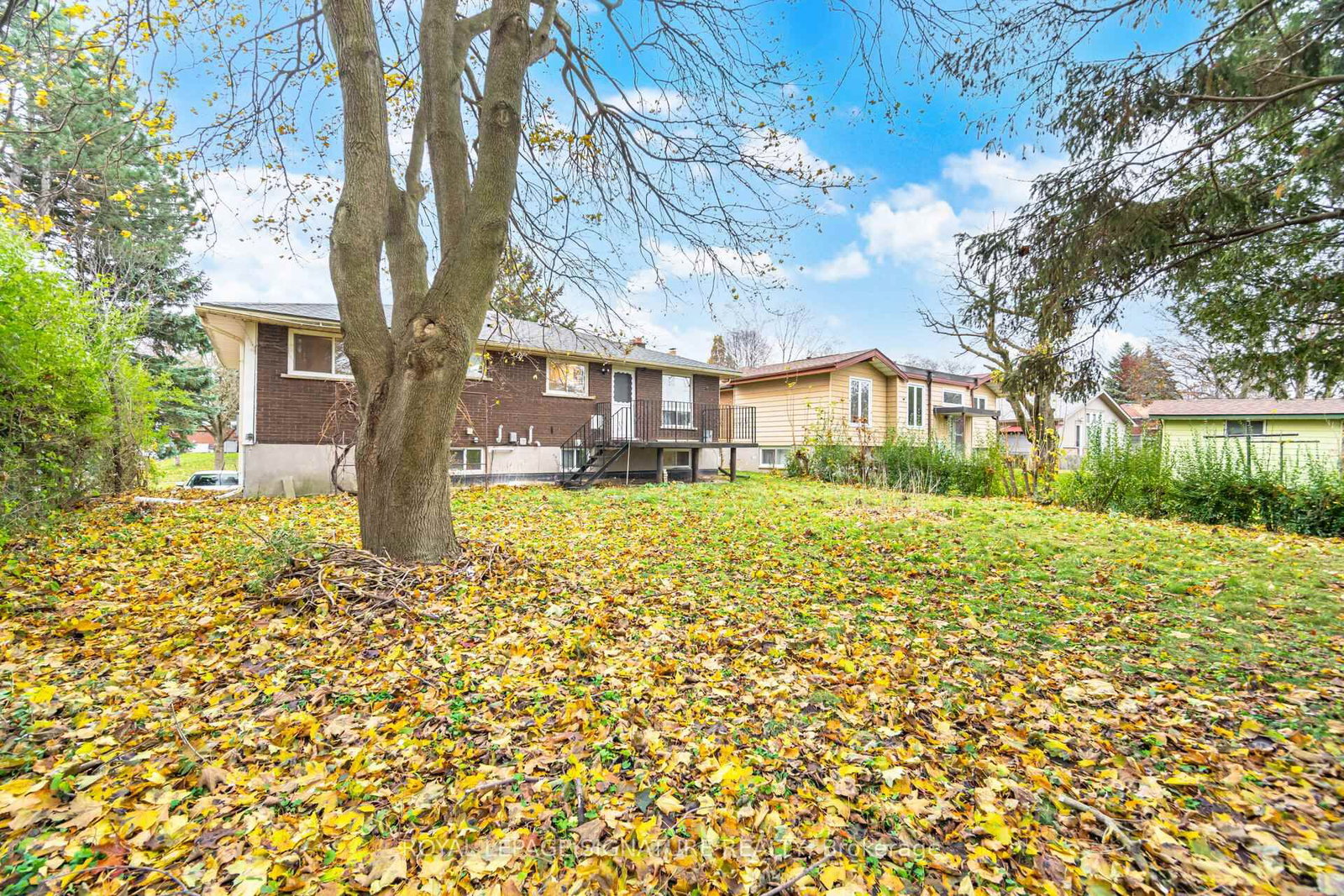 406 Tamarack Drive, Unit Main - Photo 19