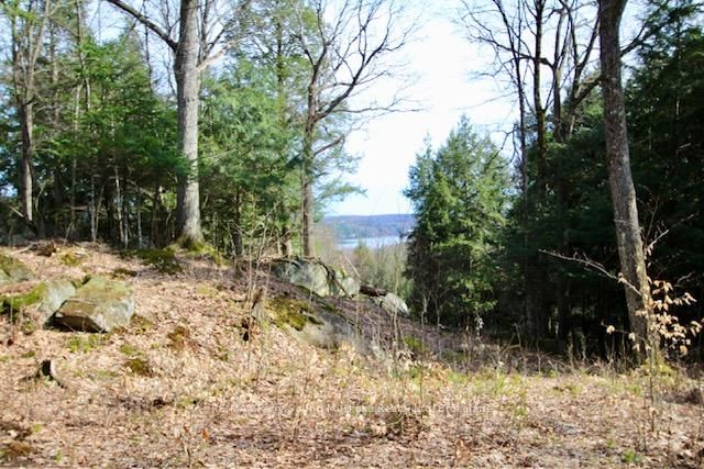 6 - 22 Gryffin Bluffs Lane