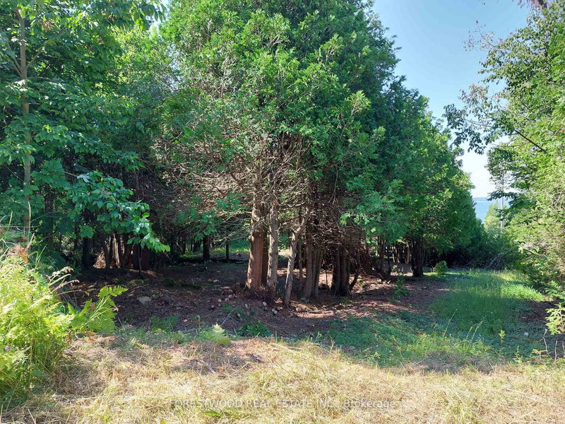 CON 5 EBR PT LOT 30 E, Northern Bruce Peninsula, N0H 1W0 | Image 2