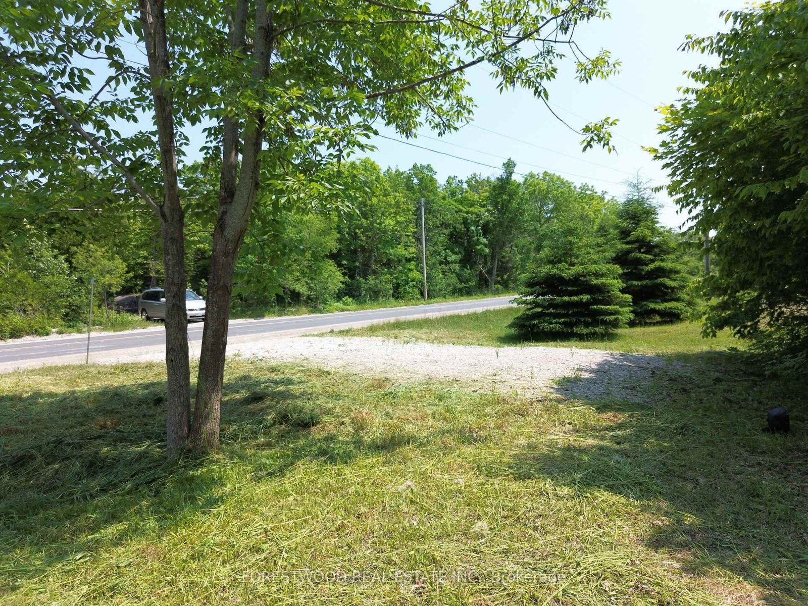 31 Isthmus Bay Road — photo 5