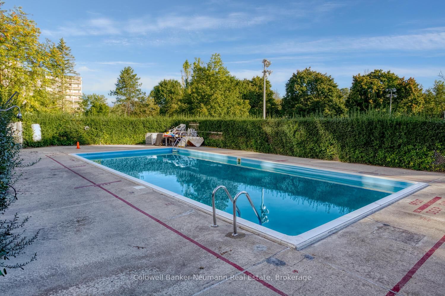 23 Woodlawn Road E, Unit 205 - Photo 49