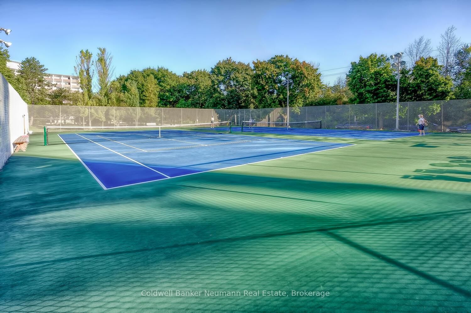 23 Woodlawn Road E, Unit 205 - Photo 50