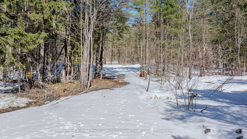 2682 Muskoka District 118 Rd W, Muskoka Lakes, P0B 1J0 | Image 2