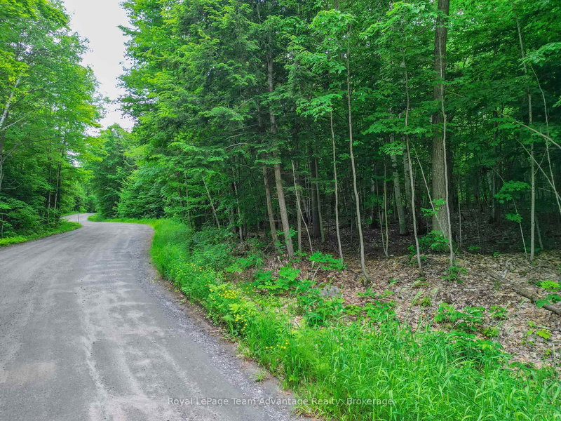 0 Mill Lake Trail
