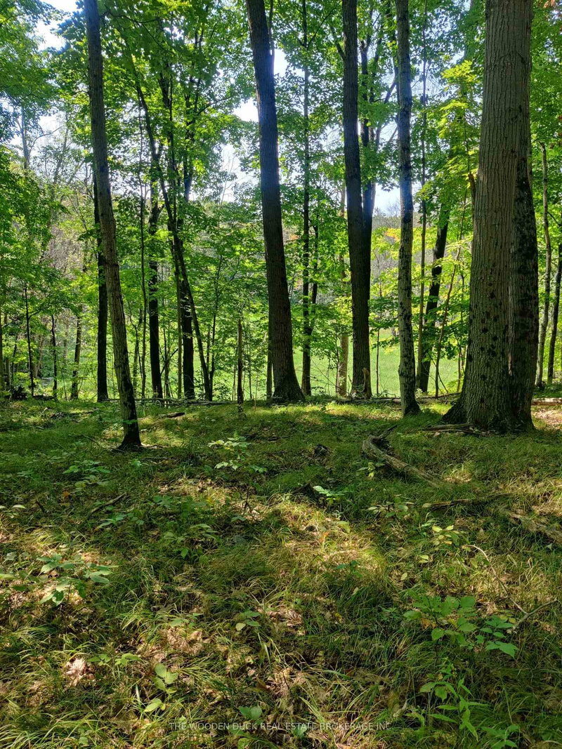 home for sale on 0East2 Road allowance Road