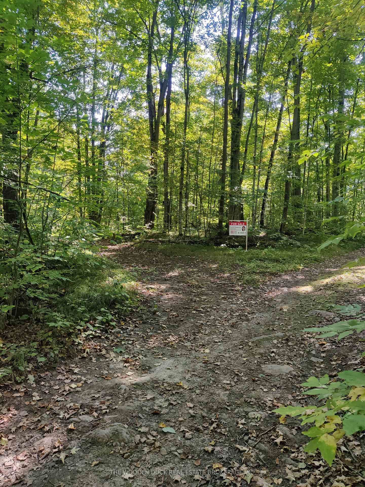 0East2 Road allowance Road