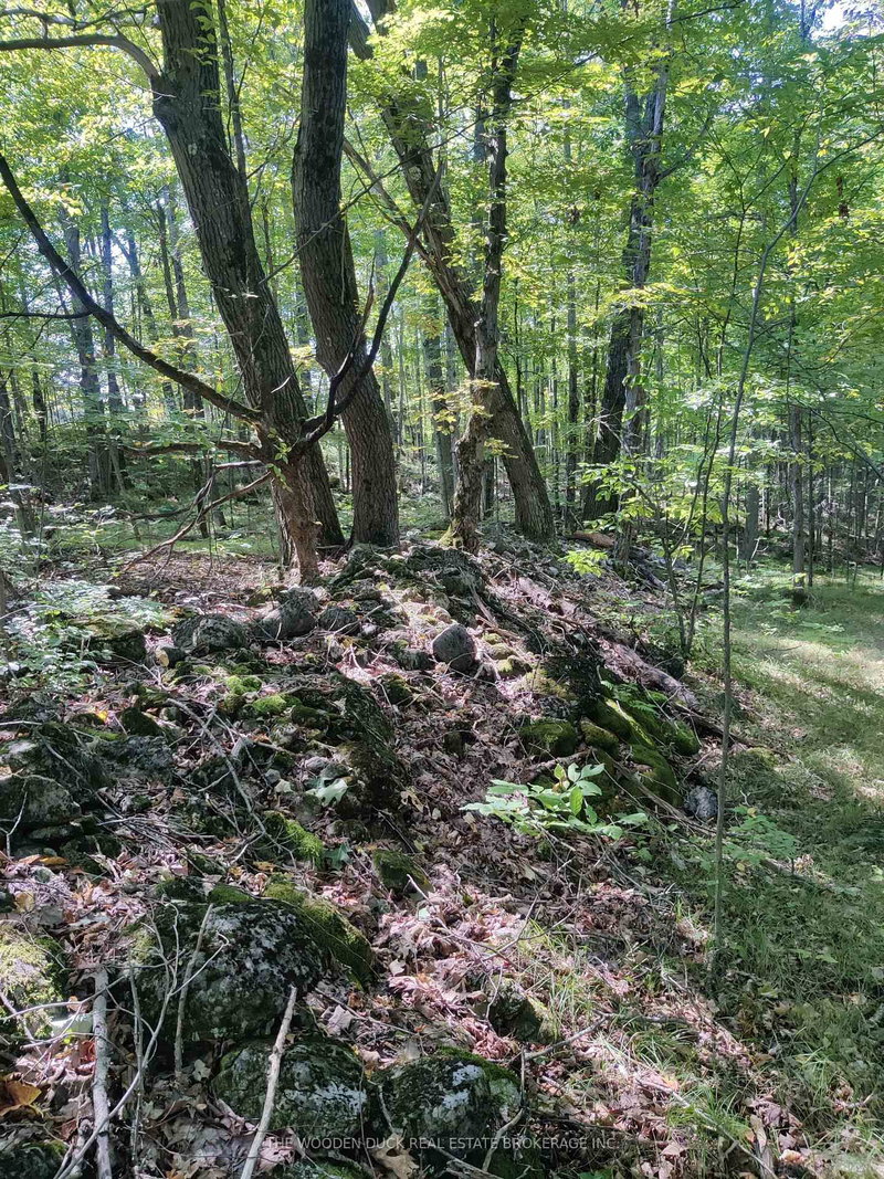 home for sale on 0West Road Allowance Road