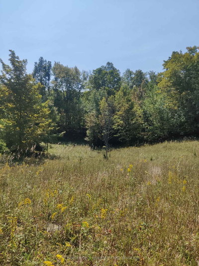 0West Road Allowance Road — photo 3