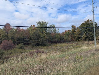 Lot 34 Leo Lake Road — photo 4