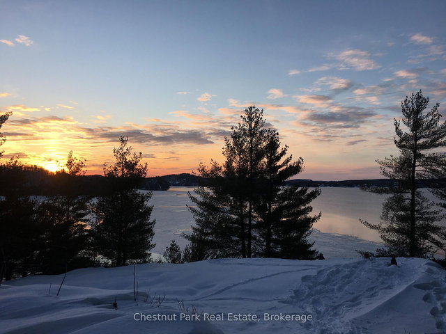 536 SPRINGFIELD Road