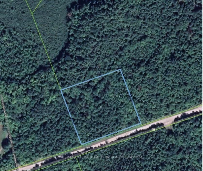 942 Balmer Road • North Kawartha, ON photo 10