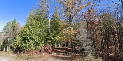 93 McCleary Rd | Limoges | Image