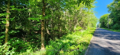 0 Skyline Drive — photo 3