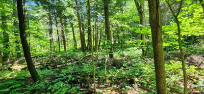 0 Skyline Drive — photo 6