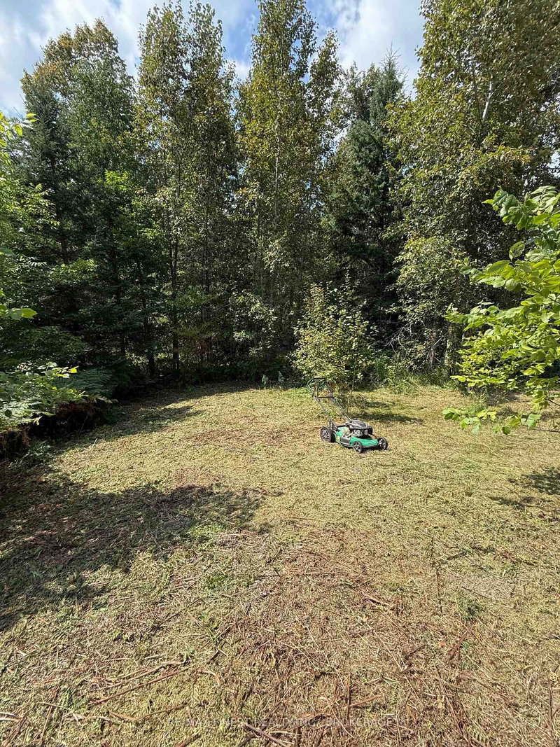 21508A Highway 41, Denbigh, K0H 1L0 | Image 3