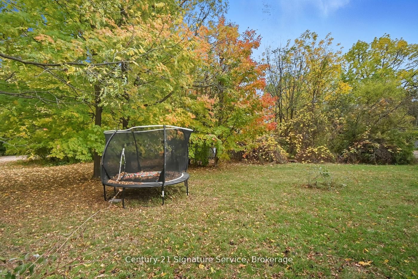 Detached House for sale at 3653 Dominion Road, Fort Erie, Ontario, L0S 1N0 - Ridgeway - MLS: X12979016